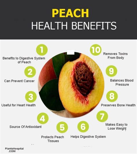 Peach Fruit Cup Benefits