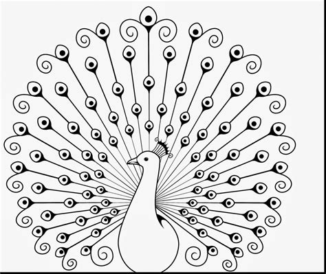 Peacock outline for kids