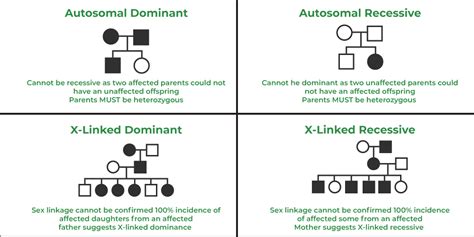 Pedigree Analysis Template