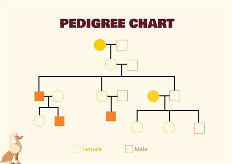 Pedigree chart template