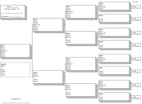 Pedigree Family Tree Template