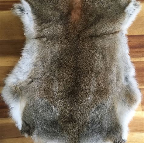 Pelt animal skin image