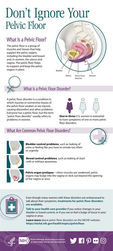 Pelvic floor health and postpartum recovery