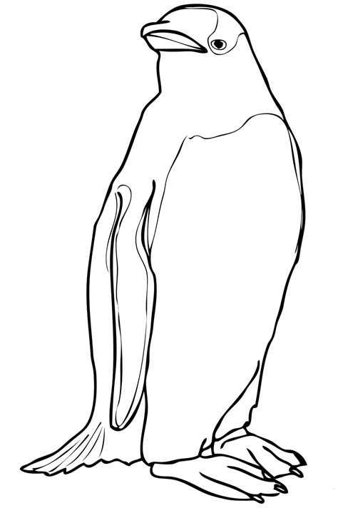 Penguin Coloring Page 3