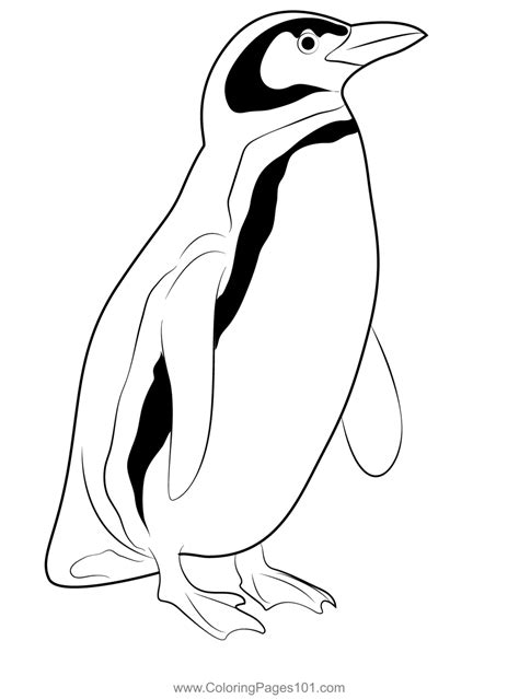 Penguin Coloring Pages for Adults