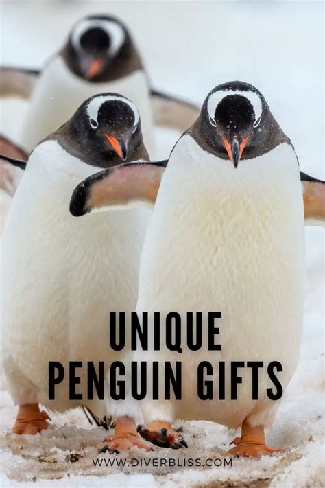 Penguin Gift Image 4