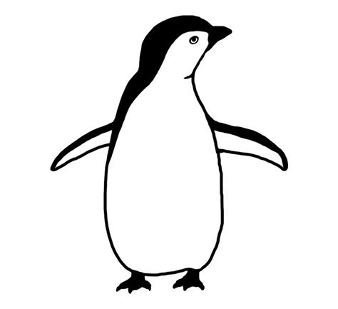 Penguin Outlines 3