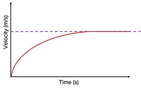 A graph showing the terminal velocity of a penny