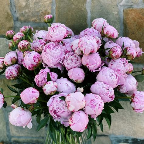 Peony Bouquet