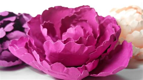 Peony Giant Paper Flower Template