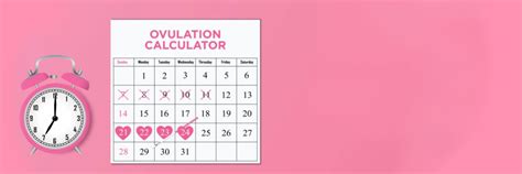 Period Tracker Printables for Women