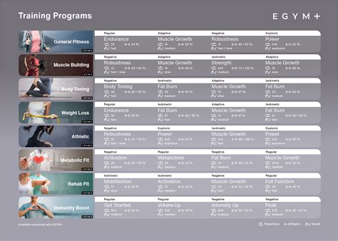 Periodization Workout Plan