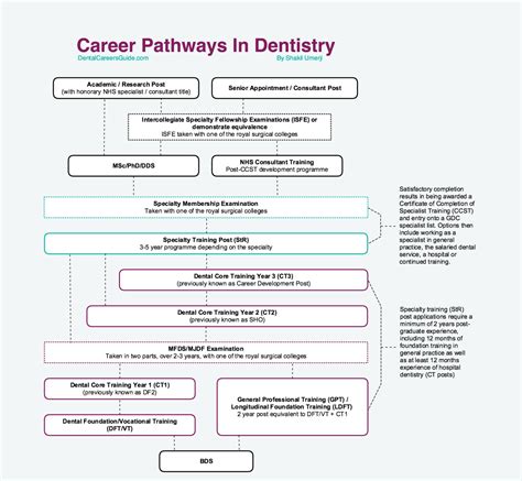 Periodontist Career Paths