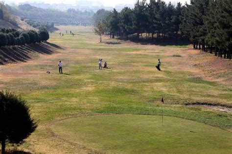 Persian golf players in action