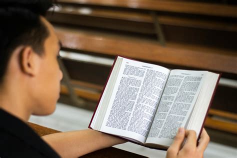 Person Reading the Bible