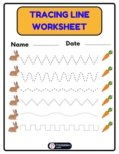 Personal Lines Worksheet Format