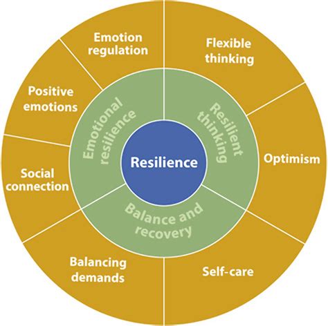 Description of Personal Resilience