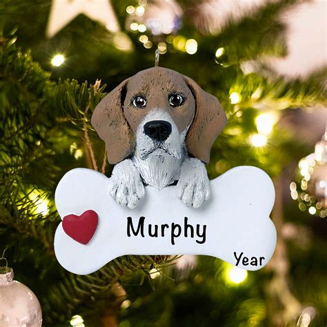 Personalized Christmas Ornament for Pets