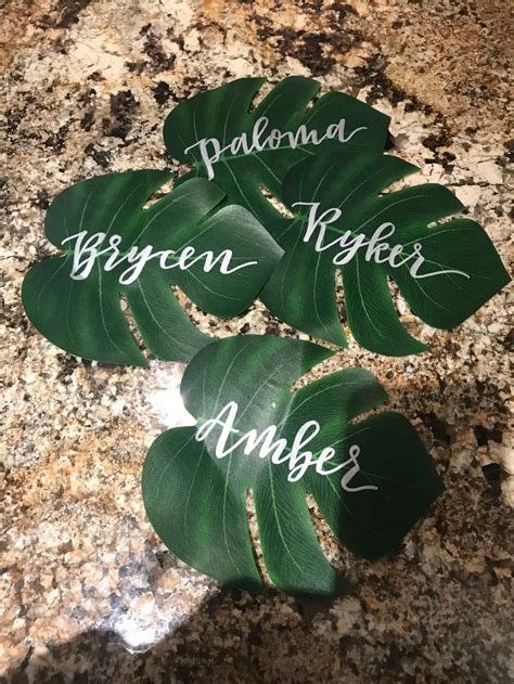 Personalized Monstera Leaf Outlines for Unique and Special Projects