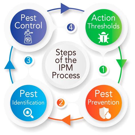 Pest control professional staying up-to-date with industry developments