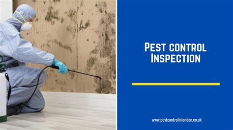 Pest control professional conducting an inspection