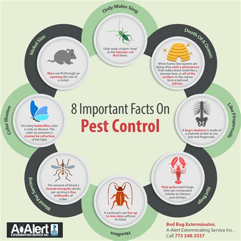 Pest control measures on Air Force bases