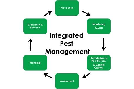 Pest control professional developing pest control plans