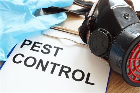 Pest Control Solutions