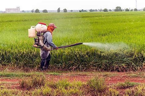 Pesticide use in agriculture