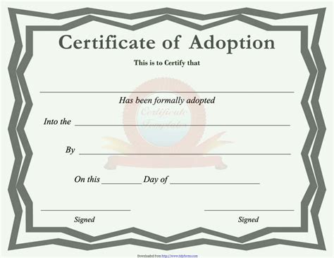 Pet Adoption Certificate Sample