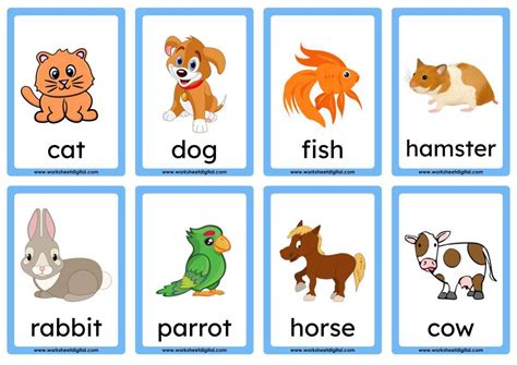 Pet Animal Flashcards