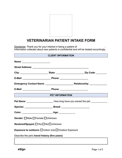 Example of a pet appointment template