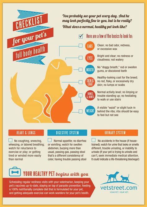 Pet Care Guidelines