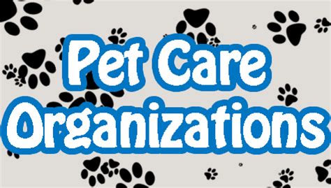 Example of organized pet care