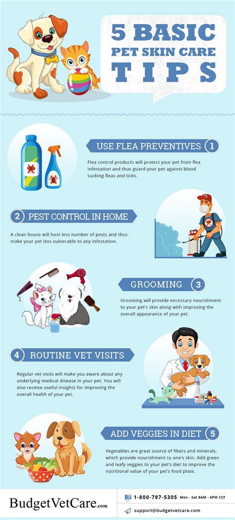 Example of practical pet care tips