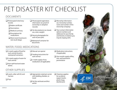 Pet Emergency Preparedness