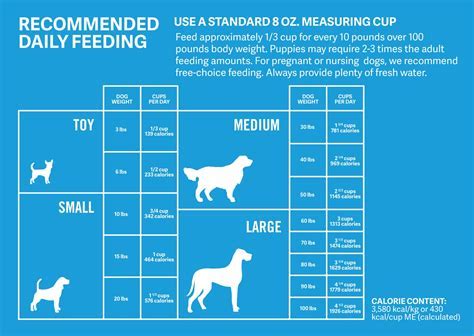 Pet feeding charts example