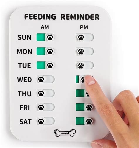 Pet feeding reminders example