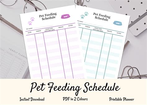 Pet feeding schedules example