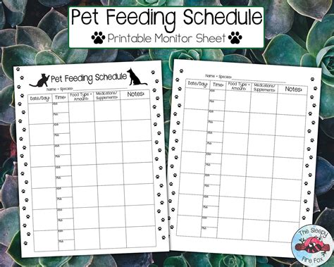 Pet feeding schedules example