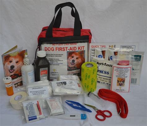 Pet First Aid Kit