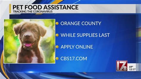 Alternative Options for Pet Food Assistance