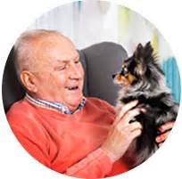 Pet Food Assistance for Seniors