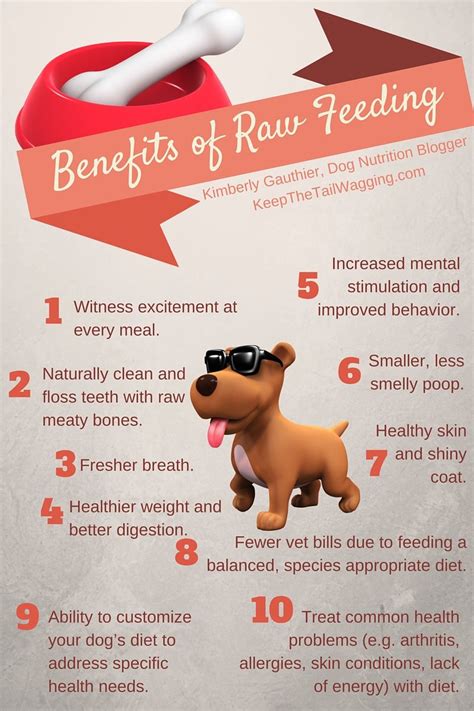 Pet Food Benefits