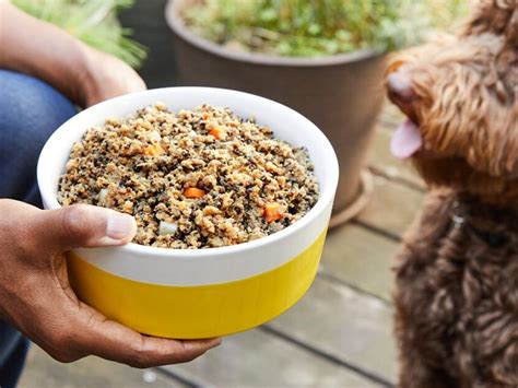 Pet Food Delivery Services