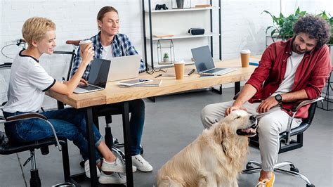 Pet-Friendly Workspace