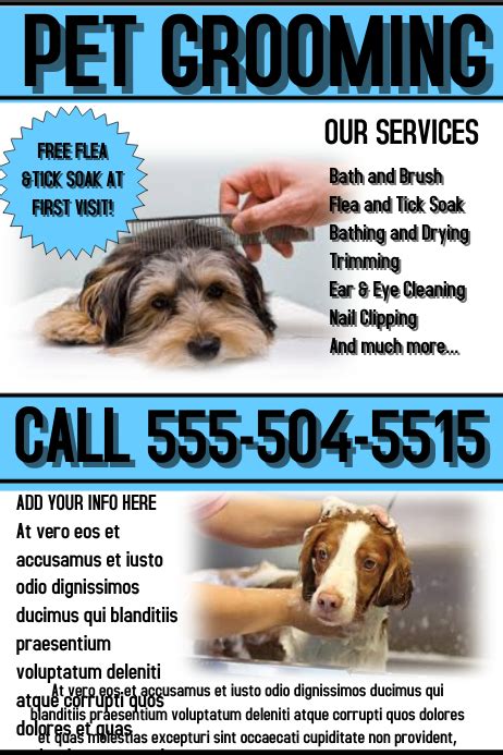 Pet Grooming template example