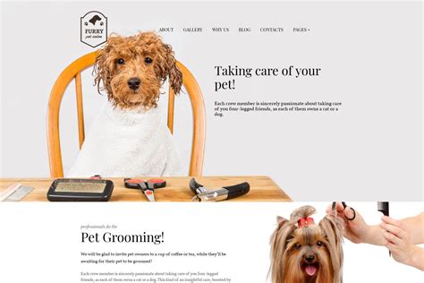 Pet Grooming Website Design Example