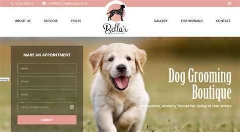 Pet Grooming Website Design Example 2