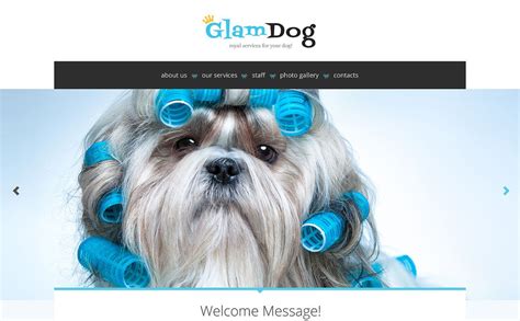 Pet Grooming Website Template Example 5